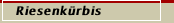Riesenk&uuml;rbis