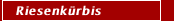 Riesenk&uuml;rbis